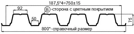 Фото: Профнастил Н75 х 750 - B (ПЭ-01-9003-0.9) в Егорьевске
