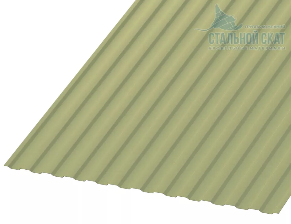Фото: Профнастил МП10 х 1100 - B NormanMP (ПЭ-01-6019-0.5) в Егорьевске